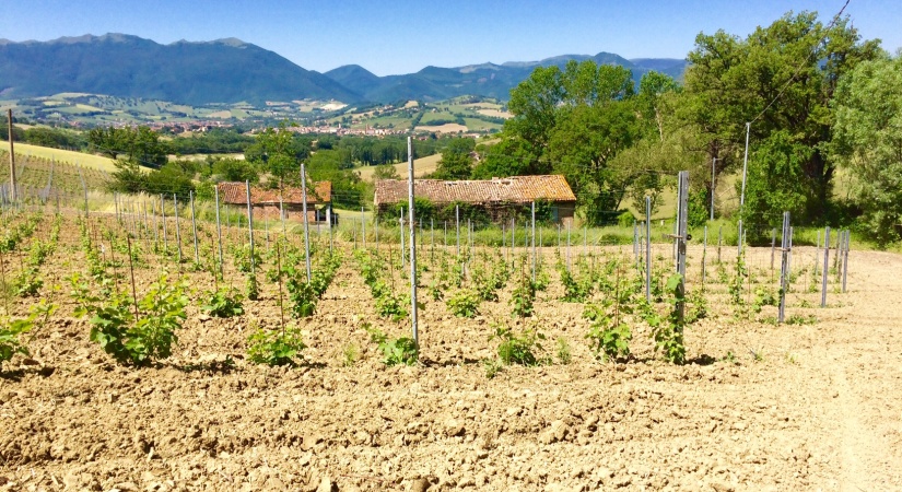 thimg 15 825x450 Dettaglio singola proprietà