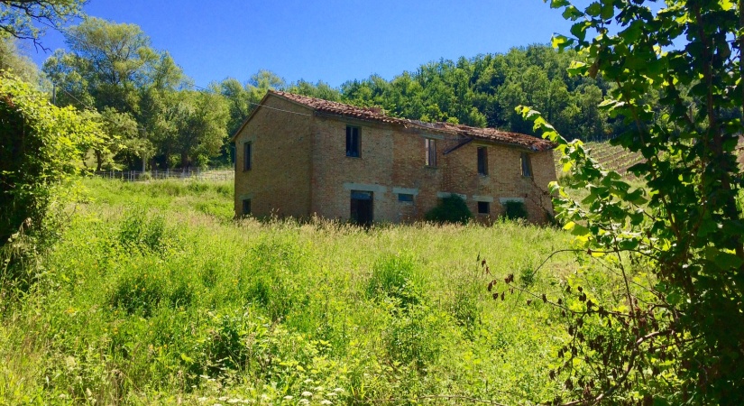 thimg 4 825x450 Dettaglio singola proprietà