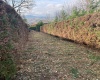  Dettaglio singola proprietà