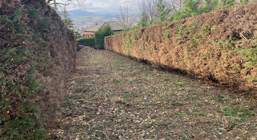  Dettaglio singola proprietà